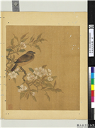 宋钱选写生图　册　梨花翎毛,绘画,花草,翎毛