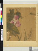宋钱选写生图　册　荷花,绘画,花草