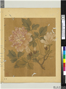 宋钱选写生图　册　木兰芍药,绘画,花草