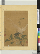 宋钱选写生图　册　寿带果蔬,绘画,果蔬,翎毛,草虫