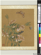 宋钱选写生图　册　花草蝶蛾,绘画,花草,草虫