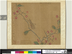 宋钱选写生图　册　花草螽斯,绘画,花草,草虫