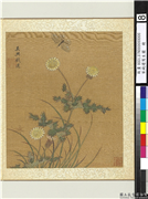 宋钱选写生图　册　菊花蝴蝶,绘画,花草,草虫