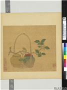 宋钱选画花篮图　册　桂花,绘画,花草,器用