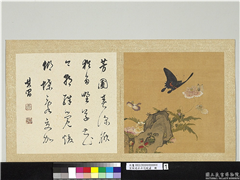 宋钱选摹古花蜨图　册　虞美人,绘画,花草,草虫,山水