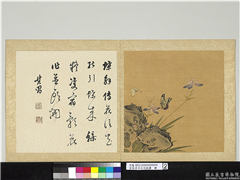 宋钱选摹古花蜨图　册　射干,绘画,花草,草虫,山水