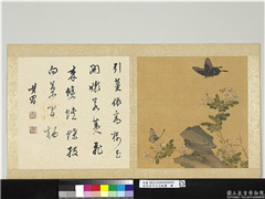宋钱选摹古花蜨图　册　月季,绘画,花草,草虫,山水