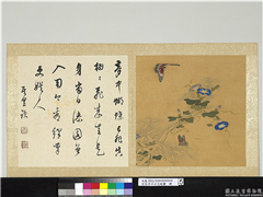 宋钱选摹古花蜨图　册　牵牛花,绘画,花草,树木,草虫