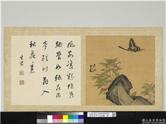 宋钱选摹古花蜨图　册　凤仙花,绘画,花草,草虫,山水