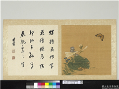 宋钱选摹古花蜨图　册　玉簪花,绘画,花草,草虫