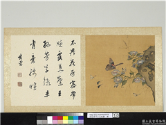 宋钱选摹古花蜨图　册　菊,绘画,花草,草虫,山水