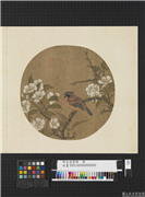明宣德宝绘　册　梨花小鸟,绘画,花草,翎毛