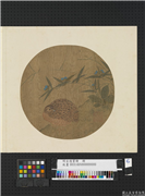 明宣德宝绘　册　鹌鹑,绘画,翎毛,花草