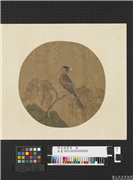 明宣德宝绘　册　桐实文鸟,绘画,翎毛,树木