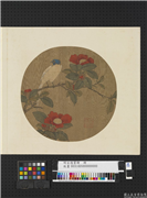 明宣德宝绘　册　寿带茶花,绘画,花草,翎毛