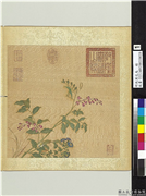明仇英花鸟　册　菊花蝗虫,绘画,花草,草虫