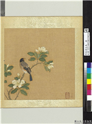 明仇英花鸟　册　栀枝桑鳲,绘画,花草,翎毛
