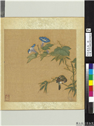 明仇英花鸟　册　牵牛花,绘画,花草,翎毛,树木