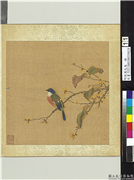明仇英花鸟　册　蜡梅红叶,绘画,花草,翎毛
