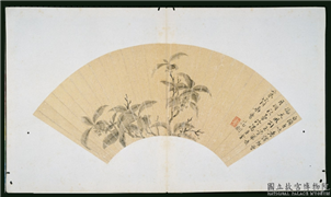 明文徵明画扇　册　桂花,绘画,花草