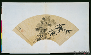 明文徵明画扇　册　菊花,绘画,树木,花草