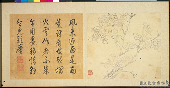 明陈淳画花卉　册　蔷薇,绘画,花草