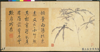 明陈淳画花卉　册　秋葵,绘画,花草