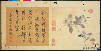 明陈淳画花卉　册　茶花,绘画,花草