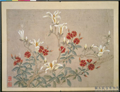 明林达花卉翎毛　册　辛夷石竹,绘画,花草