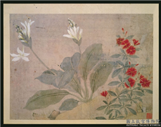 明林达花卉翎毛　册　玉簪石竹,绘画,花草