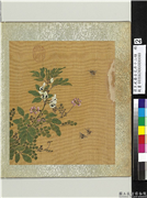 清王武摹古花卉十二帧　册　豆花紫花地丁,绘画,花草,草虫