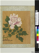 清王武摹古花卉十二帧　册　牡丹,绘画,花草