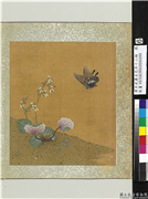 清王武摹古花卉十二帧　册　金丝荷叶,绘画,花草,草虫