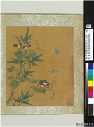 清王武摹古花卉十二帧　册　牵牛石竹,绘画,花草,树木,草虫