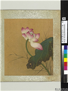 清王武摹古花卉十二帧　册　荷,绘画,花草