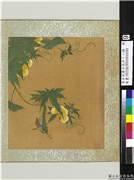 清王武摹古花卉十二帧　册　丝瓜络纬,绘画,果蔬,草虫