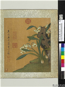 清王武摹古花卉十二帧　册　水仙文石,绘画,花草,山水