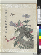 清王武花卉　册　虞美人,绘画,花草,草虫