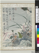 清王武花卉　册　荷叶蓼花,绘画,水中动植物,花草,草虫