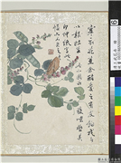 清王武花卉　册　扁荳花,绘画,其他,草虫