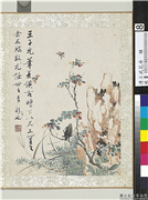 清王武花卉　册　枸杞子,绘画,花草,草虫
