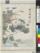 清王武花卉　册　芙蓉花,绘画,花草,草虫