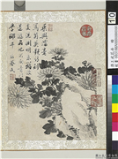 清王武花卉　册　墨画菊,绘画,花草