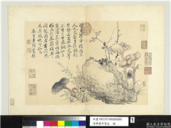 清恽寿平写生　册　芝草,绘画,山水,花草