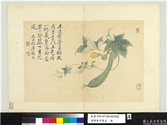 清恽寿平写生　册　瓜蔓,绘画,果蔬