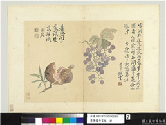 清恽寿平写生　册　葡萄石榴,绘画,果蔬