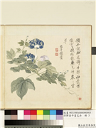 清恽寿平画花卉　册　牛郎花,绘画,花草