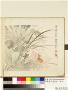 清恽寿平画花卉　册　蒲塘秋影,绘画,花草