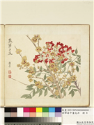 清恽寿平画花卉　册　岁寒二友,绘画,花草