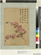 清恽寿平画花卉　册　碧桃,绘画,花草